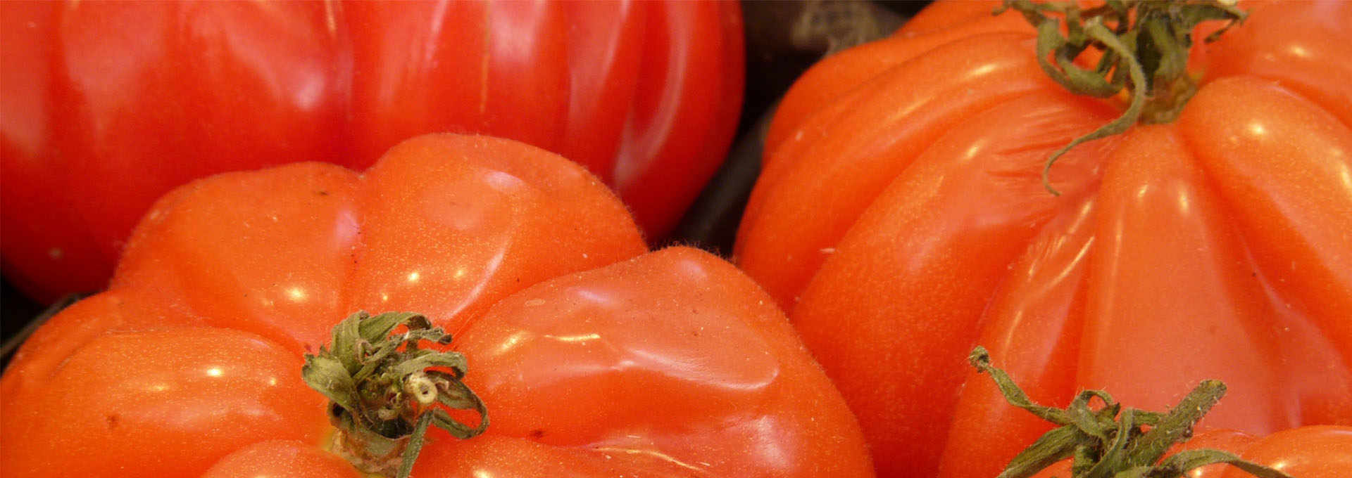 The Ligurian Beef Tomato